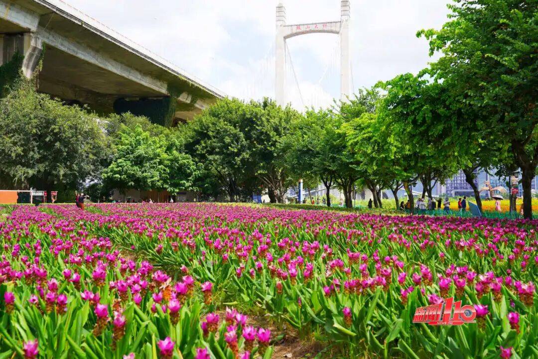 浓眉最新消息今天 浓眉最新消息今天